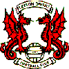 Orient logo